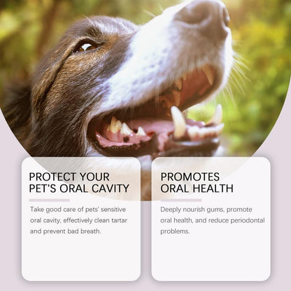 🦷 Zahnbürstenstift für Hunde und Katzen – für frischen Atem und gesunde Zähne! 🐶🐱